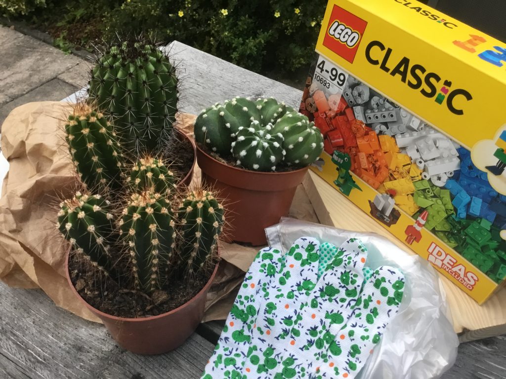 Het pakket bestond uit een doos lego, 3 mooie cactussen en handschoenen.