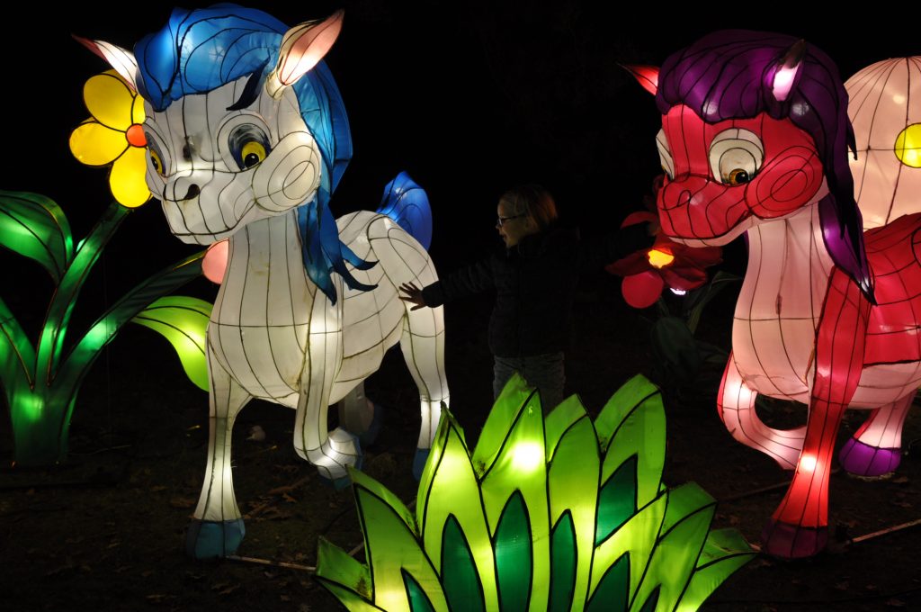 lichtjesfestival beekse bergen