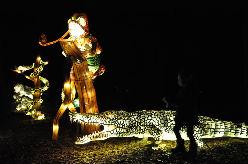 lichtjesfestival beekse bergen