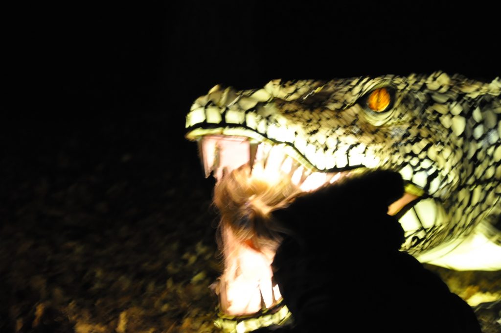 lichtjesfestival beekse bergen