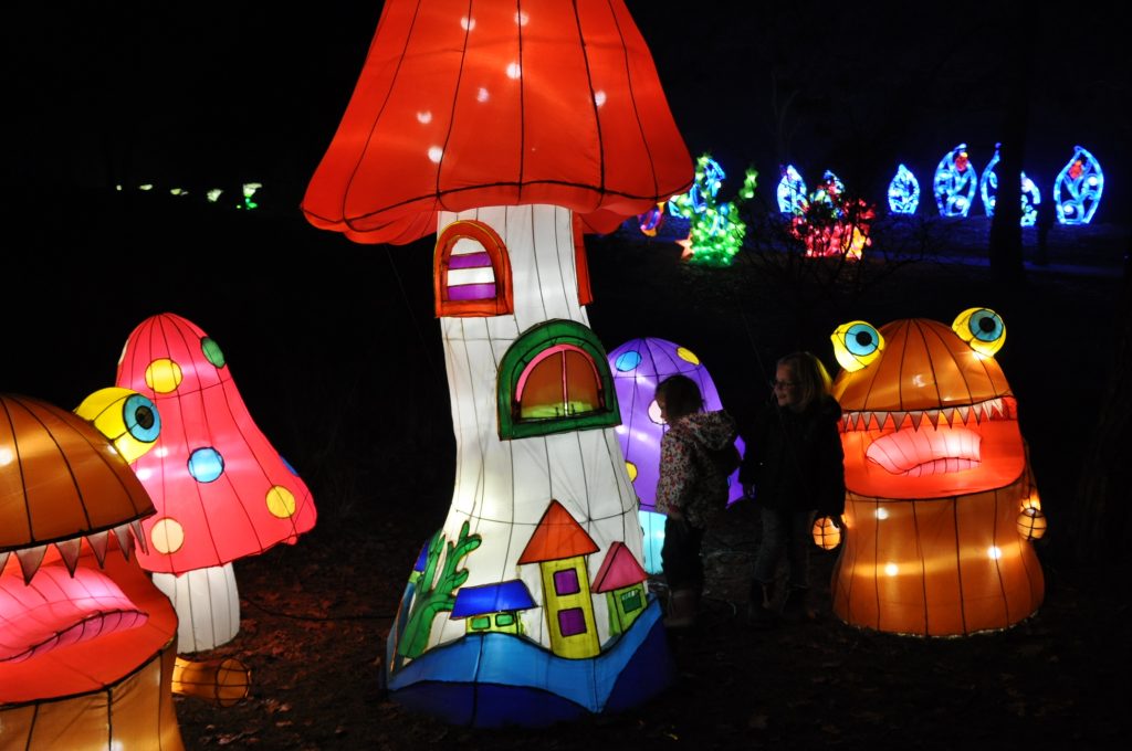lichtjesfestival beekse bergen