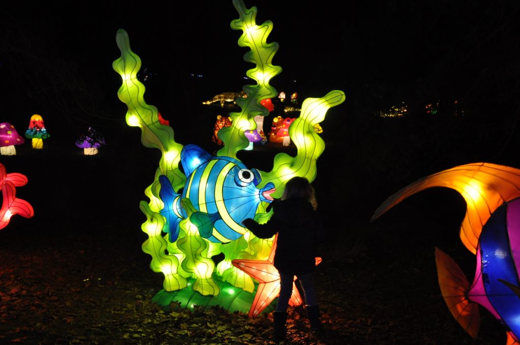 lichtjesfestival beekse bergen