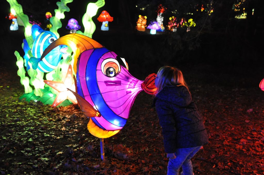 lichtjesfestival beekse bergen