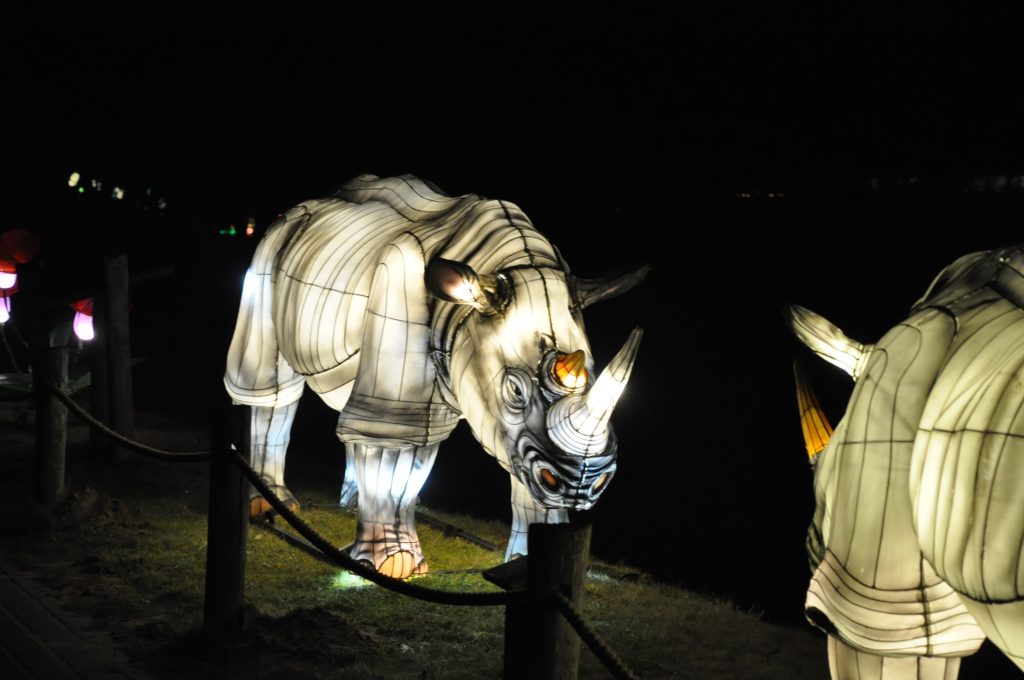 lichtjesfestival beekse bergen