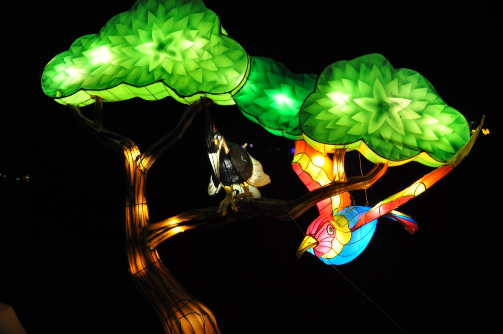 lichtjesfestival beekse bergen