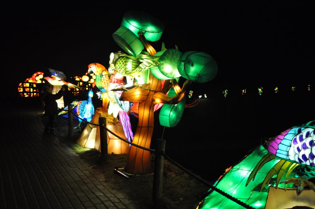 lichtjesfestival beekse bergen