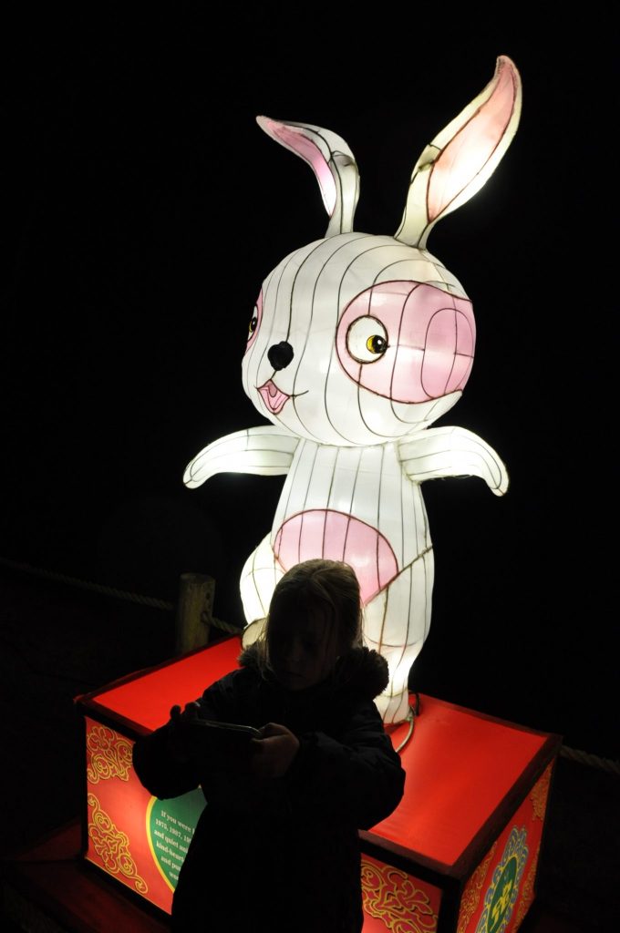 lichtjesfestival beekse bergen