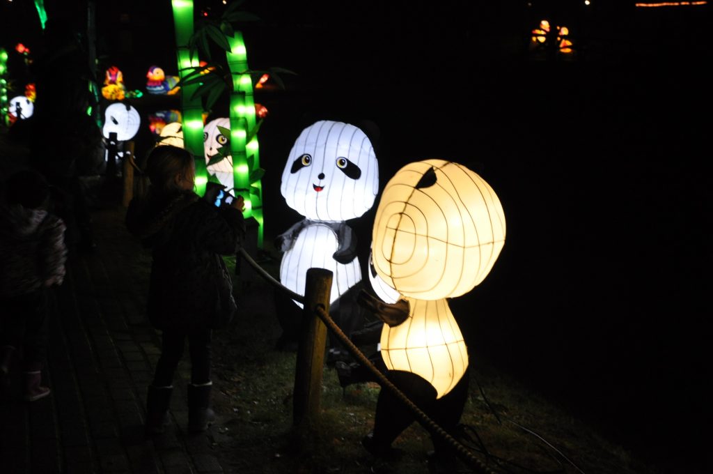 lichtjesfestival beekse bergen