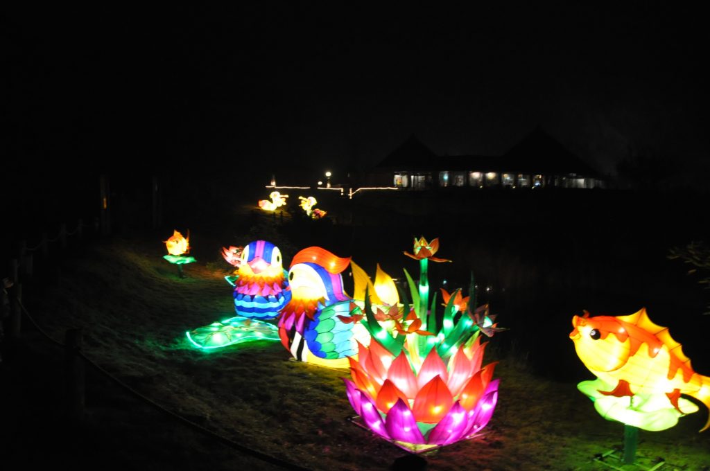 lichtjesfestival beekse bergen