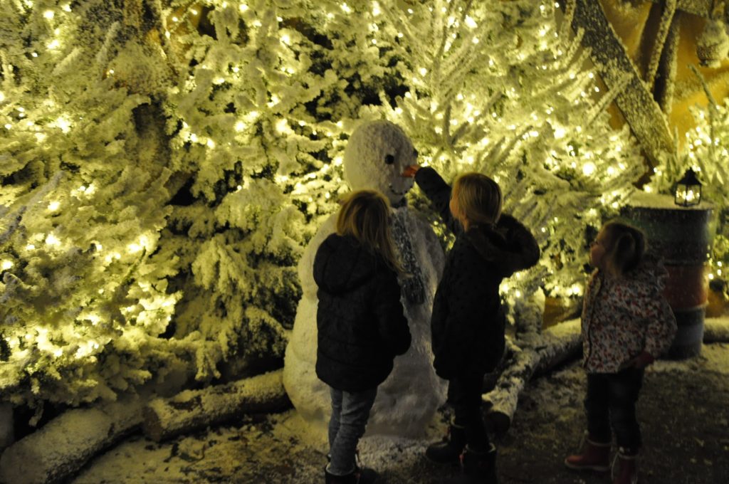 lichtjesfestival beekse bergen
