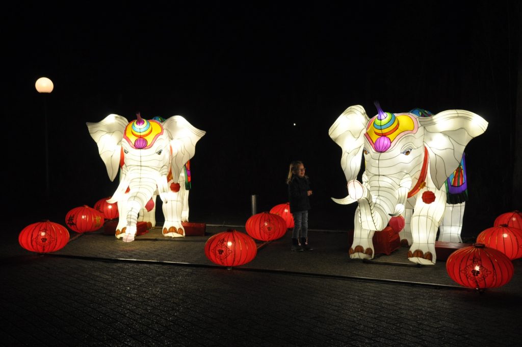 lichtjesfestival beekse bergen