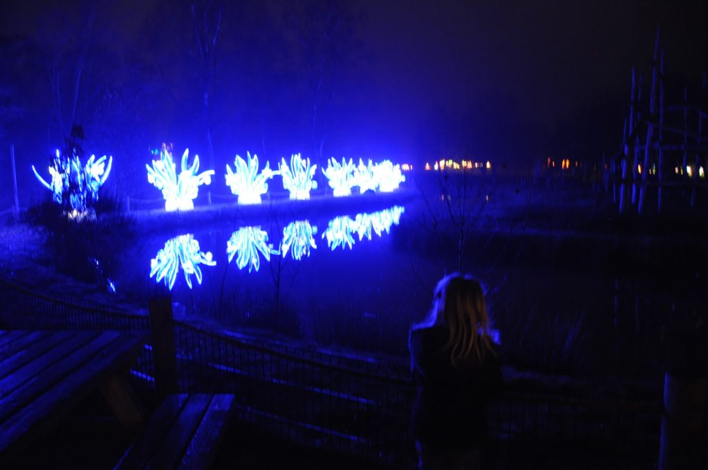 lichtjesfestival beekse bergen