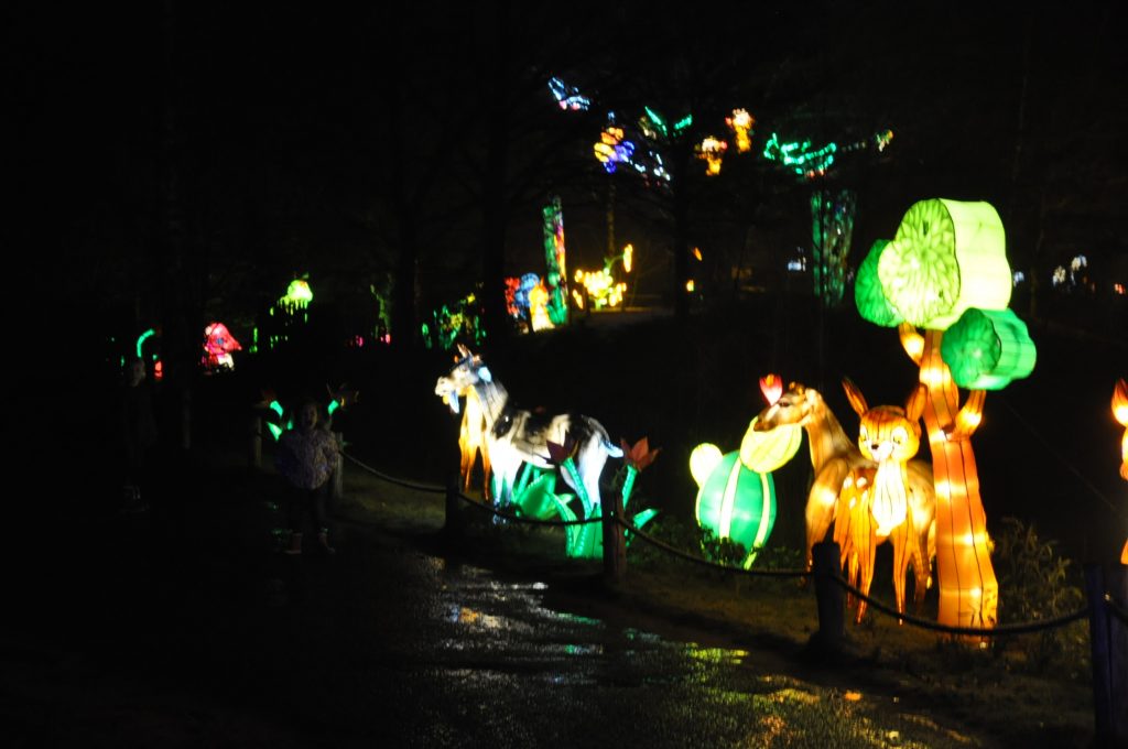 lichtjesfestival beekse bergen