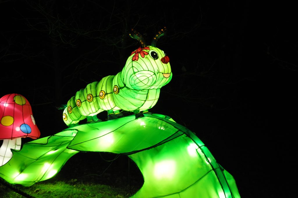 lichtjesfestival beekse bergen