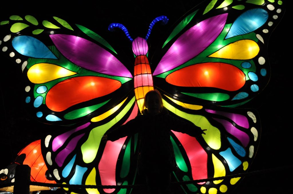 lichtjesfestival beekse bergen
