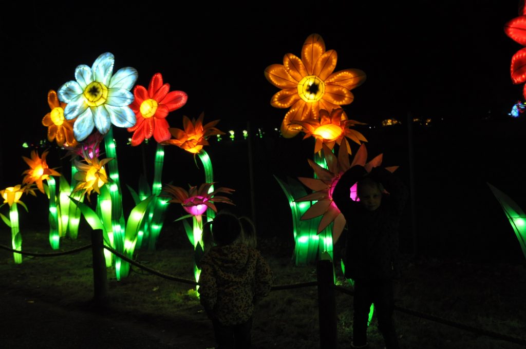 lichtjesfestival beekse bergen