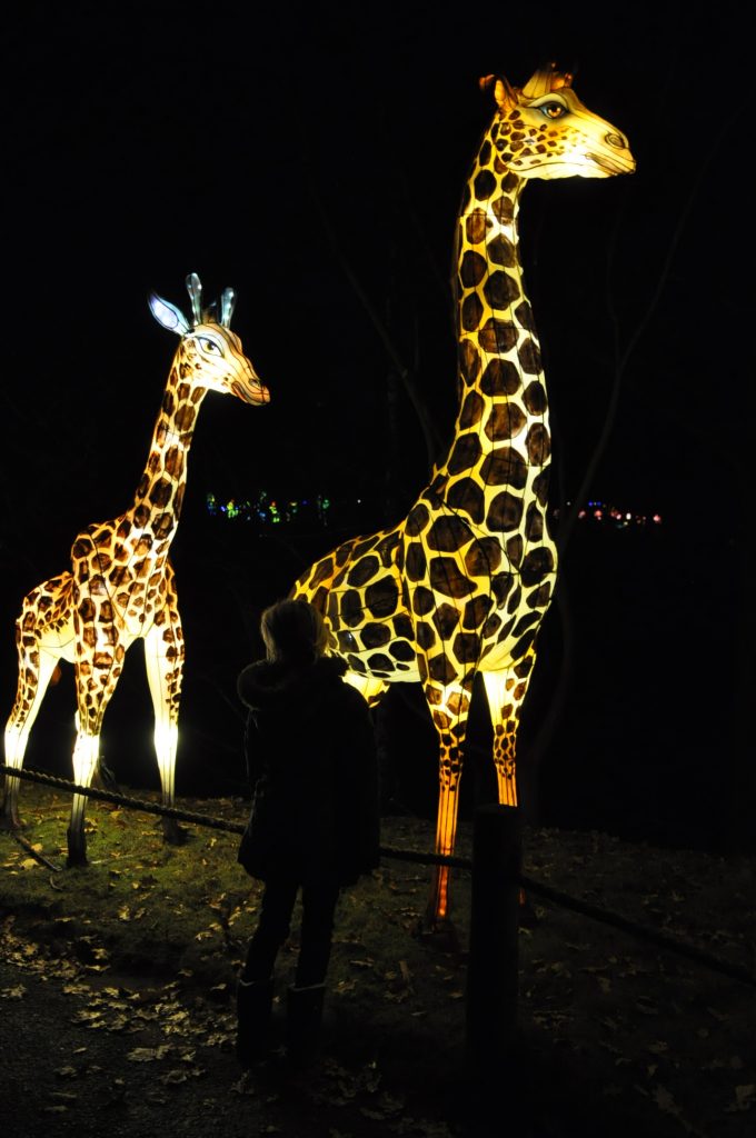 lichtjesfestival beekse bergen