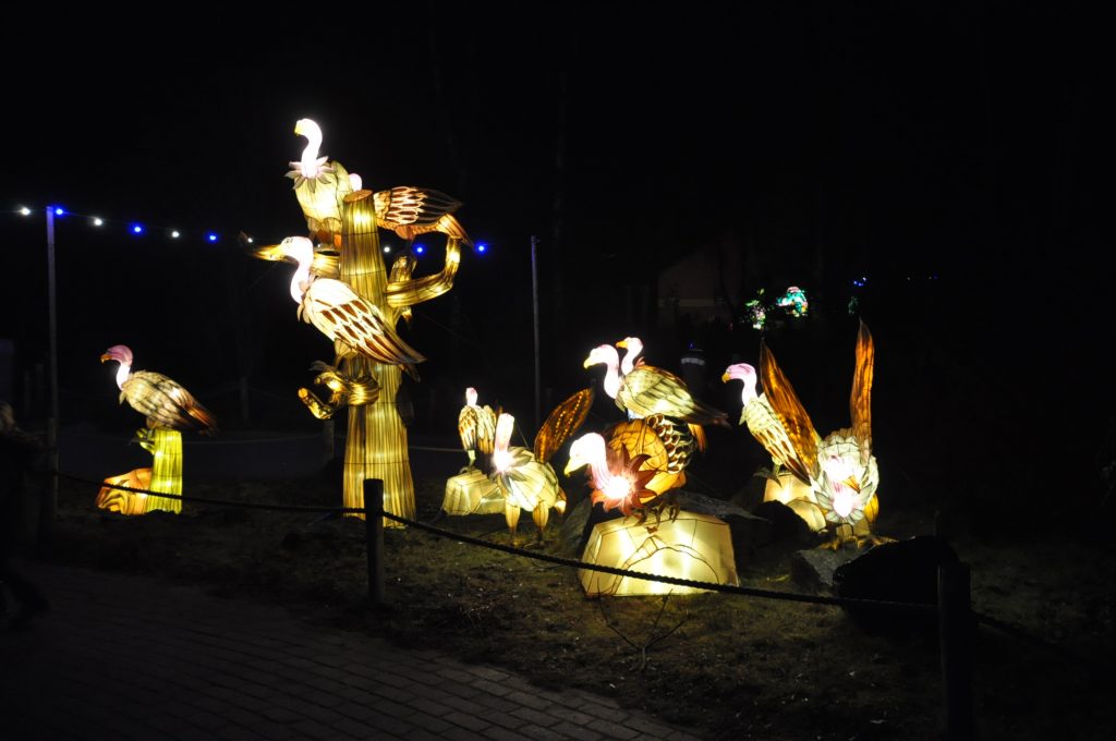 lichtjesfestival beekse bergen
