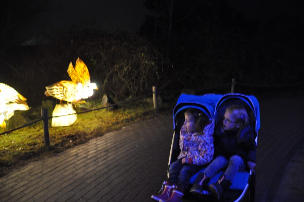 lichtjesfestival beekse bergen