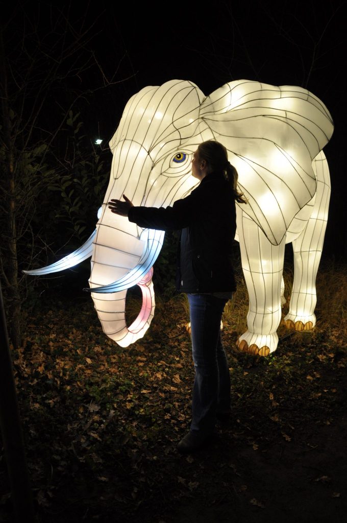 lichtjesfestival beekse bergen