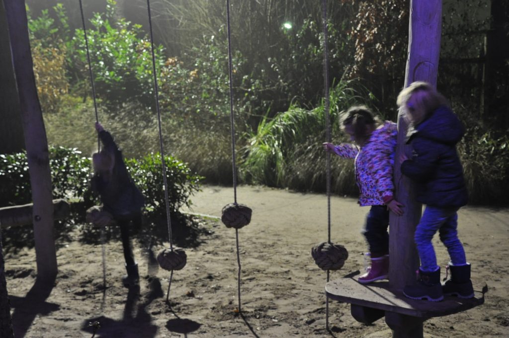 lichtjesfestival beekse bergen