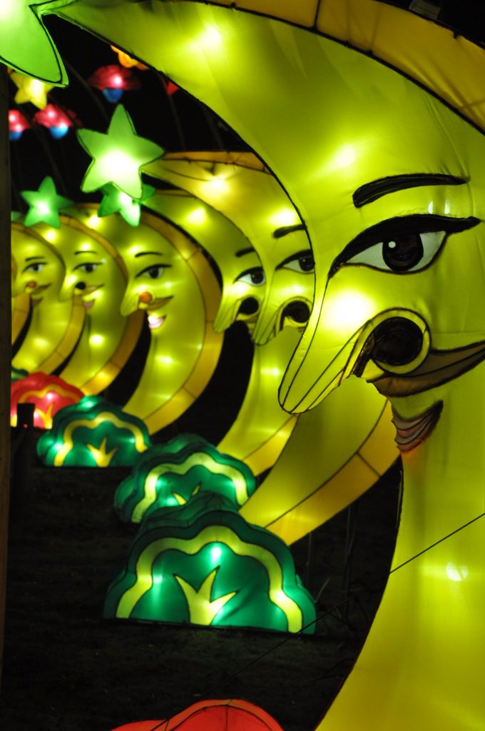 lichtjesfestival beekse bergen