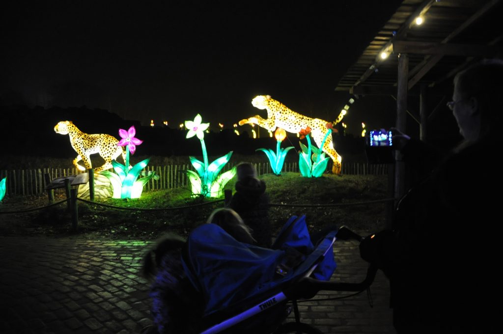 lichtjesfestival beekse bergen
