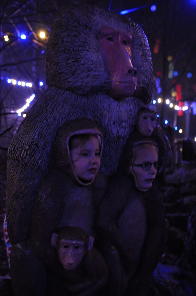 lichtjesfestival beekse bergen