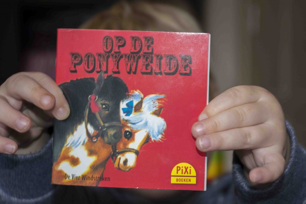 Op de Ponyweide