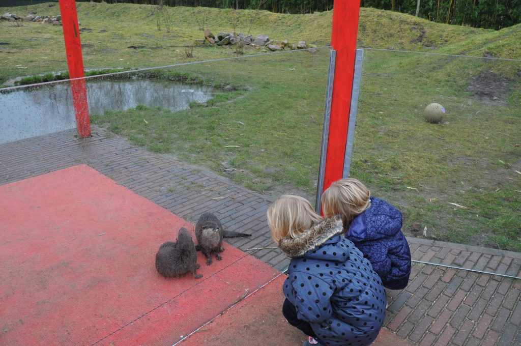 zooparc overloon