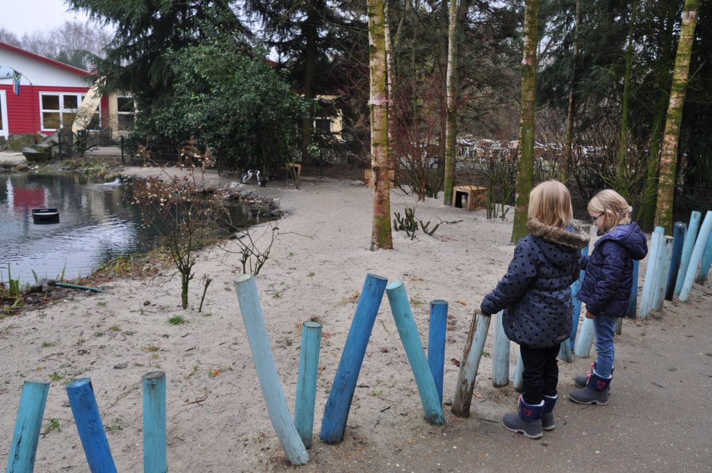 zooparc overloon