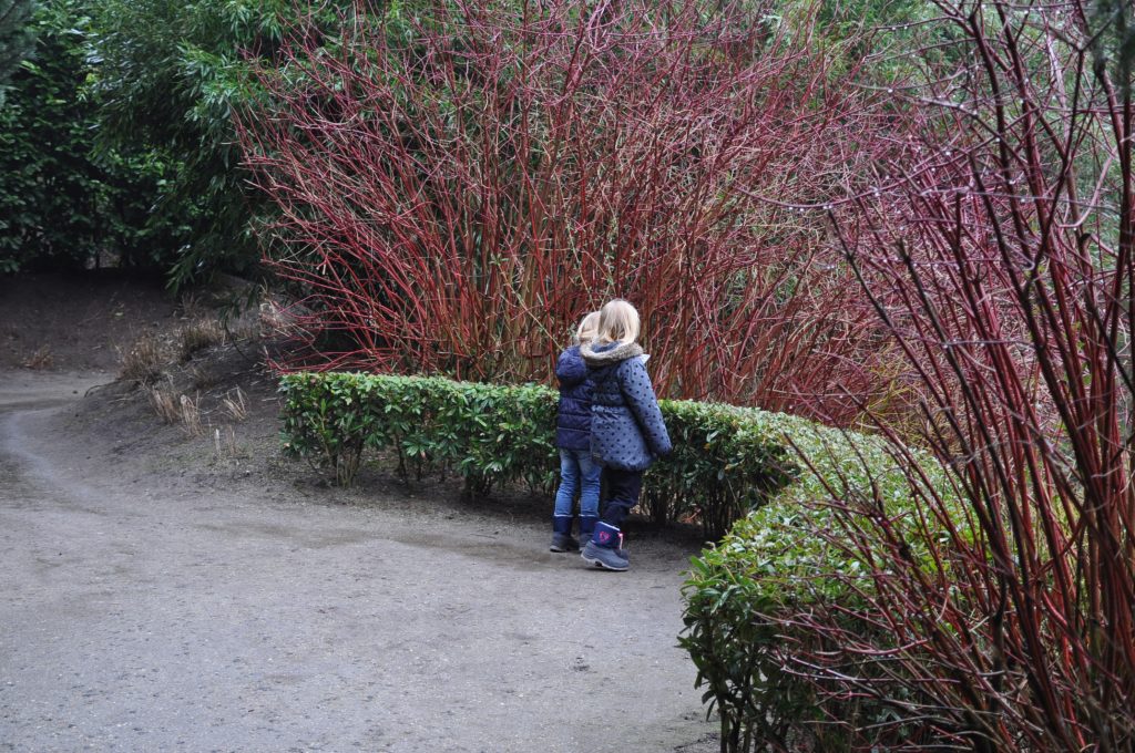 zooparc overloon