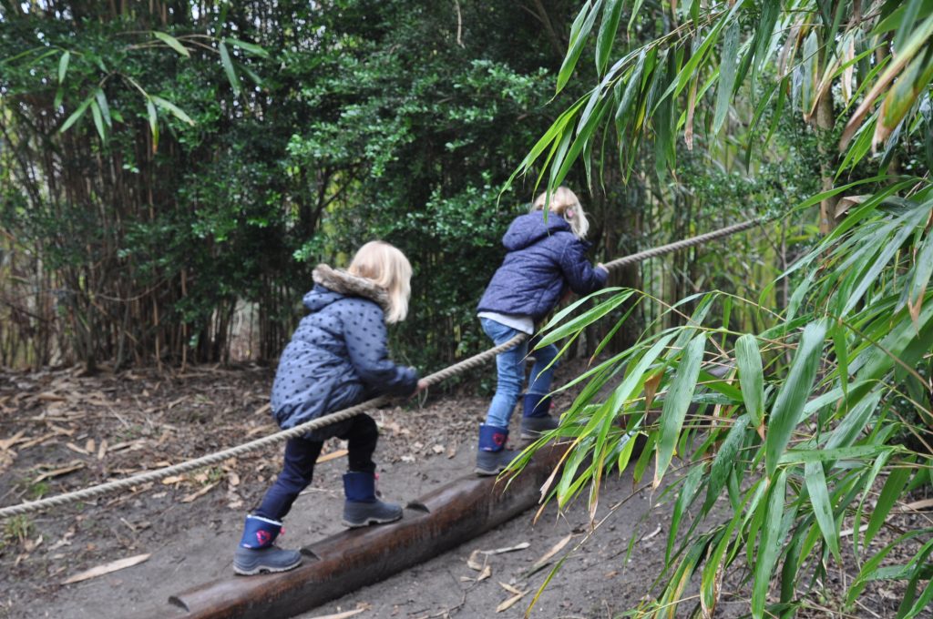 zooparc overloon