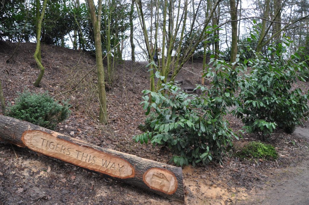 zooparc overloon
