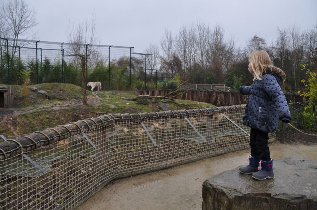 zooparc overloon