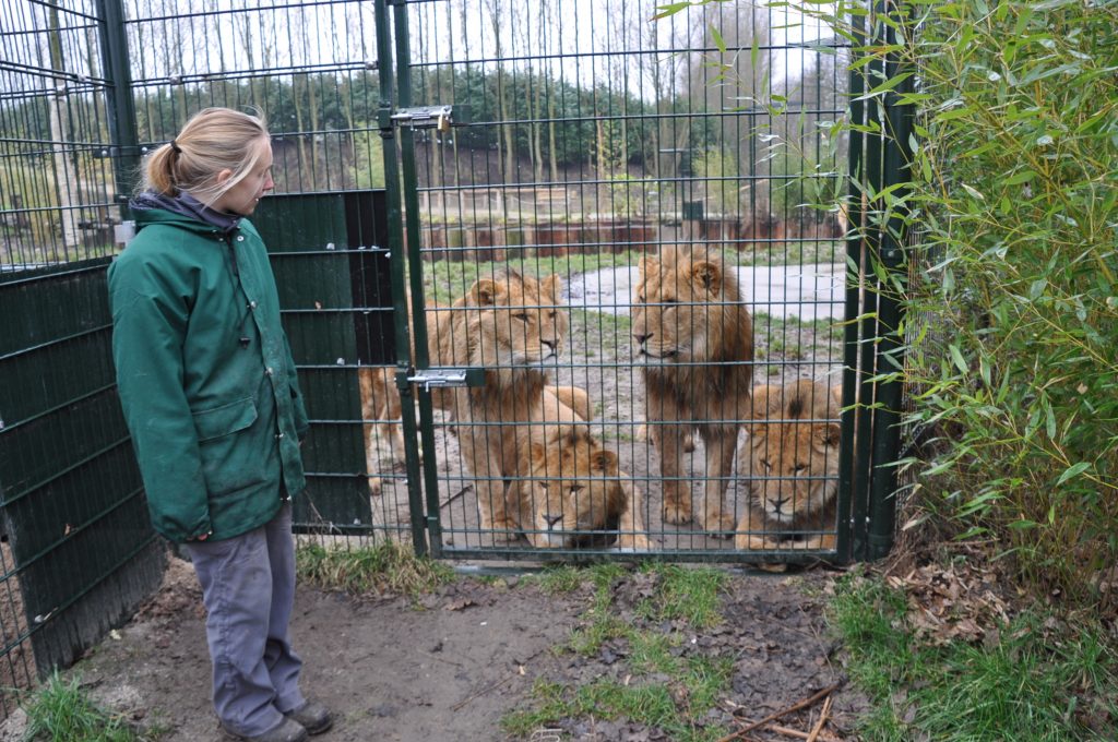 zooparc overloon