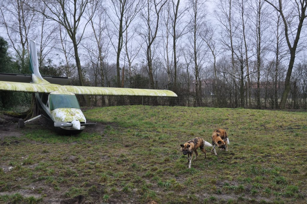 zooparc overloon