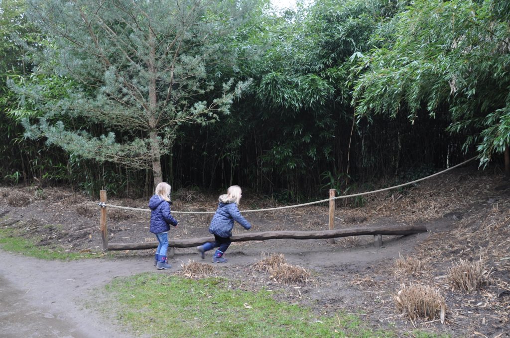 zooparc overloon