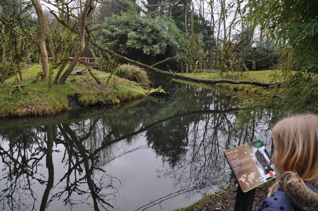 zooparc overloon