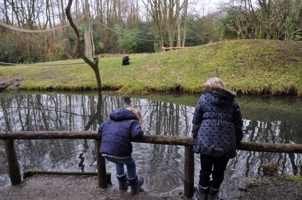 zooparc overloon