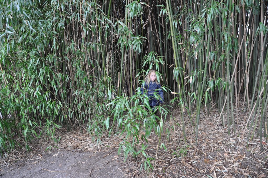 zooparc overloon