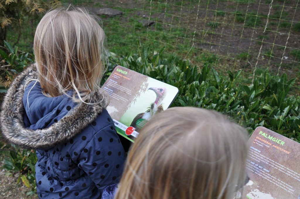 zooparc overloon