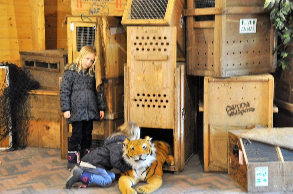 zooparc overloon