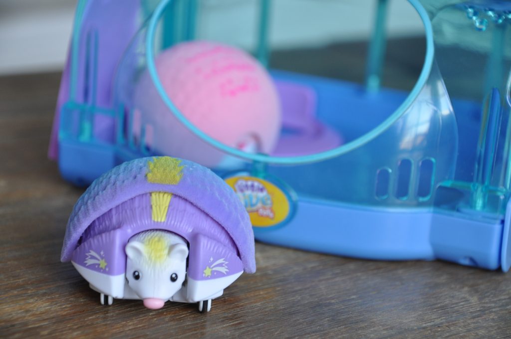 little live pets egel