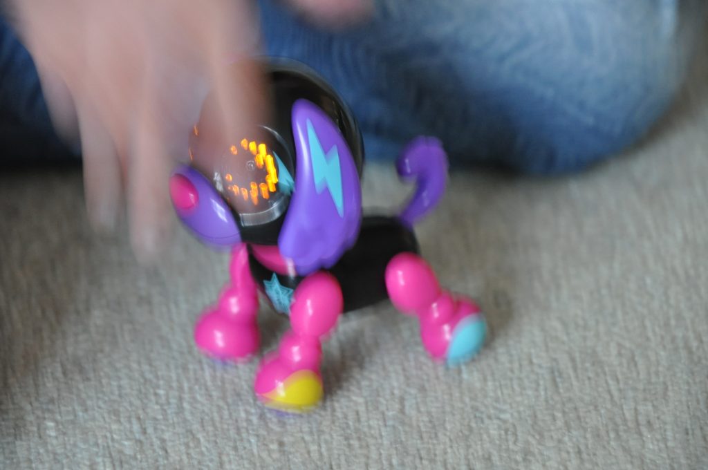 zoomer zupp pup diva