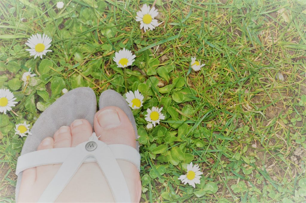 ootd wolky slipper