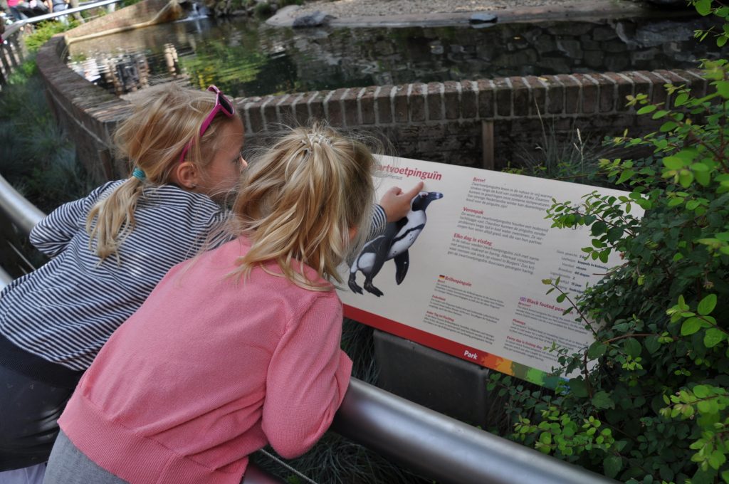 burgers zoo