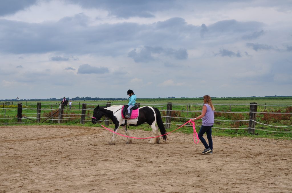 pony rijden