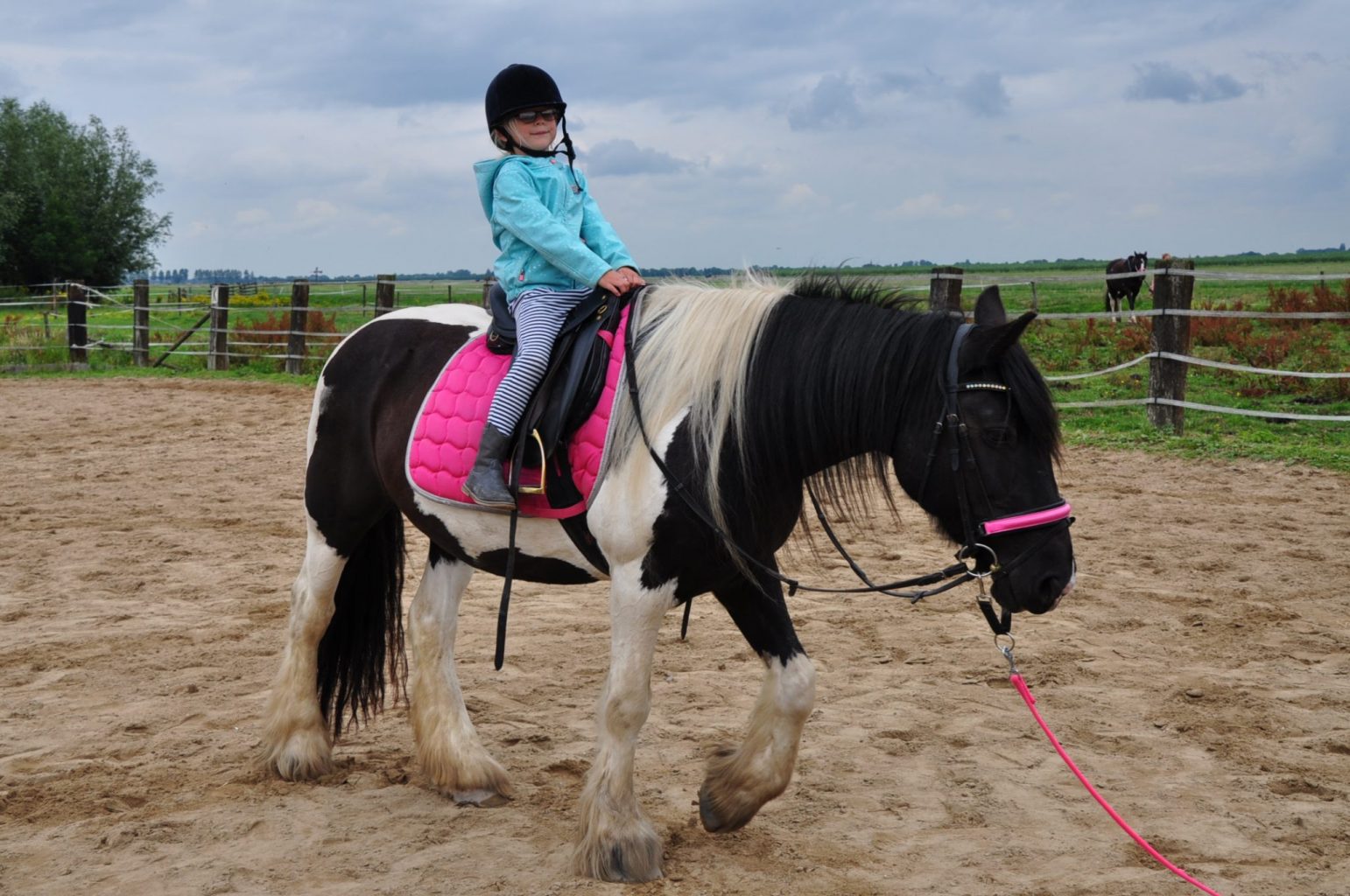 pony rijden