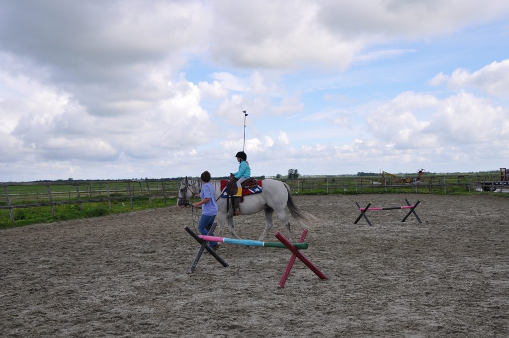paarden